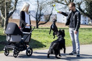 Porsche, Laurens Vanthoor Homestory with his wife, baby, riding a bike, dogs
