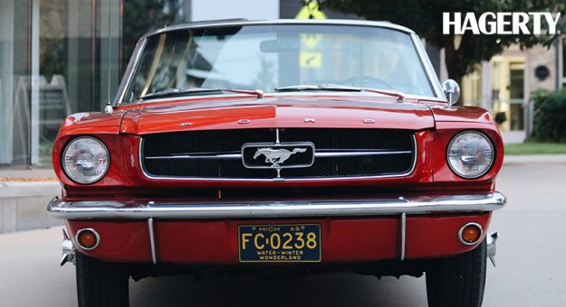 Mustang Surprise 5 Scaled 09012021
