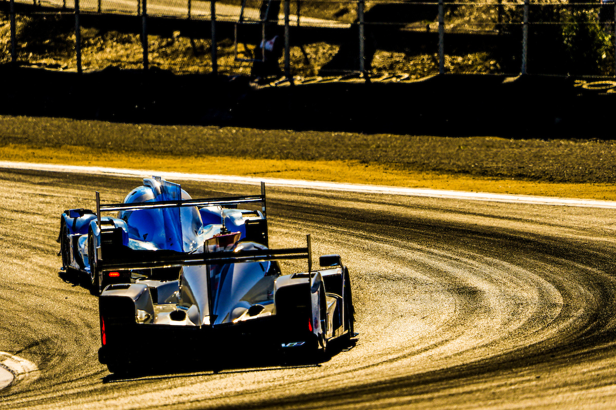 #01: Cadillac Chip Ganassi Racing Cadillac DPi, DPi: Renger van der Zande, Kevin Magnussen