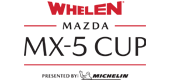 eNASCAR Series 6 Logo 