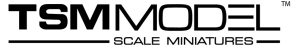 Tsm Model Logo Sized 2024 02 14