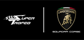 eNASCAR Series 5 Logo 
