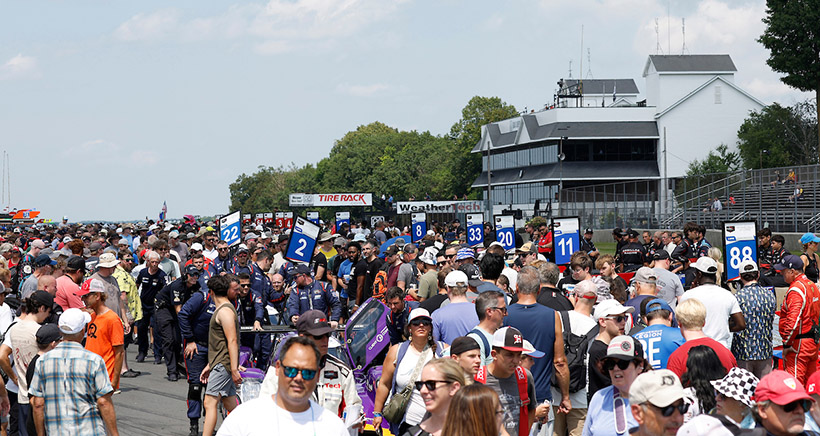 fans, grid walk