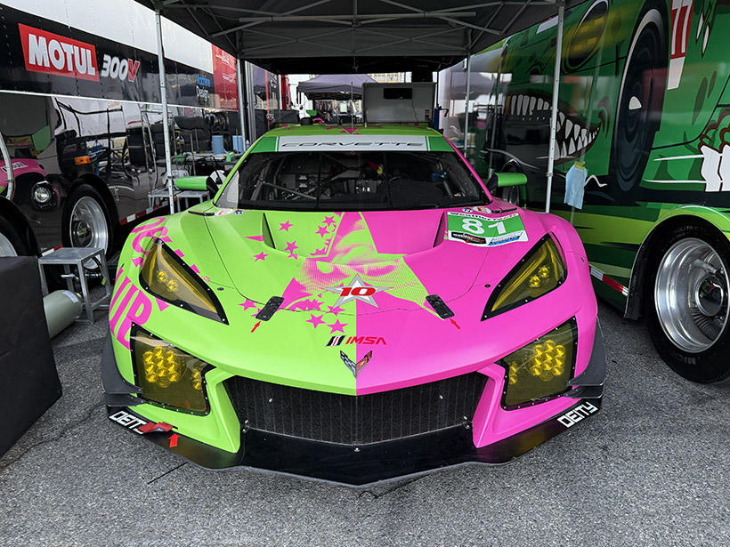 81 web