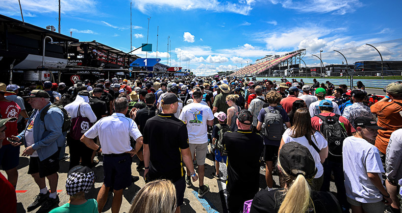 Fans, Grid Walk