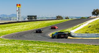 2025 Ferrari Challenge Sonoma Raceway