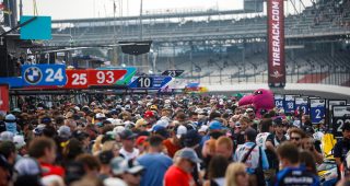 Grid Walk, fans
